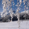 Отель Obermairhof, фото 9