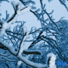 Отель Shede Liuzhu Homestay, фото 3