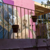 Отель Cactus, фото 15