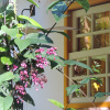Отель Casa Florida, фото 9