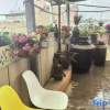 Отель Luoyang Chenyunge Homestay, фото 5