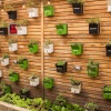 Отель Egreen Hotel 111, фото 5