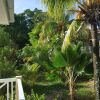 Отель Spas Villas Machabee, фото 1