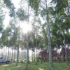 Отель Na Rommai Resort, фото 20