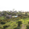 Отель The Pelican Lodge, фото 22