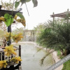 Отель Kongkarn Bed & Farm Stay, фото 31