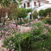 Отель Villa Maro3 Afytos, фото 10