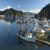 Отель Picton Yacht Club Hotel, фото 23