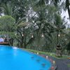 Отель Bucu View Ubud Resort, фото 17