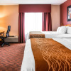 Отель Comfort Inn & Suites and Conference Center, фото 2