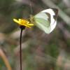 Отель Posada del Puruay, фото 10