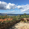 Отель Villa Minda, фото 25