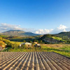 Отель Holiday home Giorgia, фото 8
