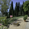 Отель Luxury Chianti in Olive, фото 18