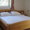 Отель Pension Alpenrose, фото 2