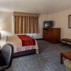 Отель SureStay Plus Hotel by Best Western Buffalo, фото 41