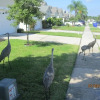 Отель Ov1755 - Eagle Pointe - 3 Bed 2 Baths Villa, фото 18