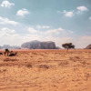 Отель Wadi Rum Nights - Camp, фото 13