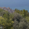 Отель Il Mirto Bed and Breakfast, фото 10