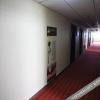 Отель Lanxing International Business Hotel, фото 12