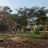 Отель Shindzela Tented Safari Camp, фото 18