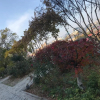 Отель Bethlehem Terrace, фото 11