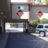 Отель The Flamingo Motel, фото 13