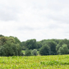 Отель Cozy Farmhouse in Bemelen with Terrace, фото 20