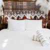 Отель Amsterdam's Curry Mansion Inn, фото 4