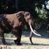 Отель Mwinilunga Safaris, фото 16