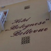 Отель Bolognese Bellevue, фото 4