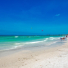 Отель Mellow Mermaid in Sarasota, фото 23