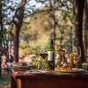 Отель Changa Safari Camp, фото 8