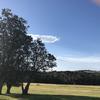 Отель Banksia Park Estate, фото 3