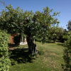 Отель Karrua House - Magnolia Room, фото 6