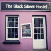 Отель The Black Sheep Hostel, фото 1