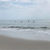 Отель Driftwood Cottage - First Floor Oceanfront Beach Retreat! Exceptional Views, Location And Privacy 2 , фото 17