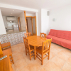 Отель Apartaments AR Europa Sun, фото 12