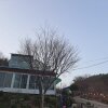 Отель Hwacheon Apollo Cheonmoondae Pension, фото 1