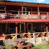 Отель Cabana Schiorilor Rasnov, фото 6