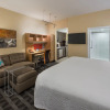 Отель TownePlace Suites by Marriott Ottawa Kanata, фото 4