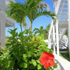 Отель Anchor Point Apartments, фото 11