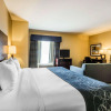 Отель Comfort Suites Pell City I-20 exit 158, фото 4