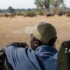 Отель Zambezi Grande Private Game Experience - All Inclusive, фото 24