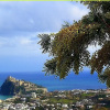 Отель Villa La Favola With sea View, фото 27
