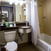 Отель Holiday Inn Houston Downtown, an IHG Hotel, фото 8