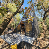 Отель Grasshopper Cabins, фото 8