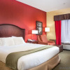 Отель Holiday Inn Express & Suites Williamsburg, an IHG Hotel, фото 6
