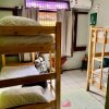 Отель Parnaiba Hostel, фото 5