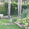 Отель Villa Andrea, фото 15